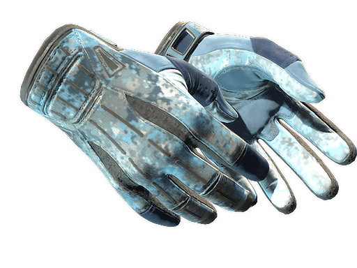 ★ Sport Gloves | Frosty