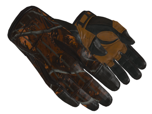 ★ Sport Gloves | Big Game