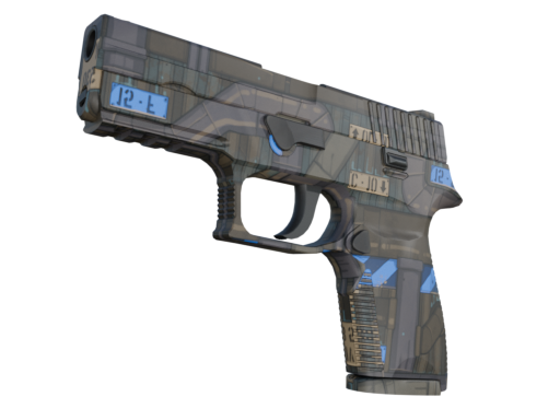 P250 | Exchanger